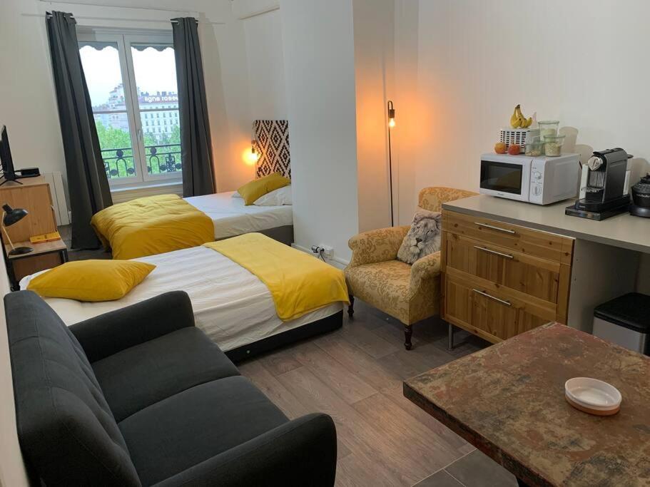 Chez Alam A L'Opera De Lyon Apartment Екстериор снимка