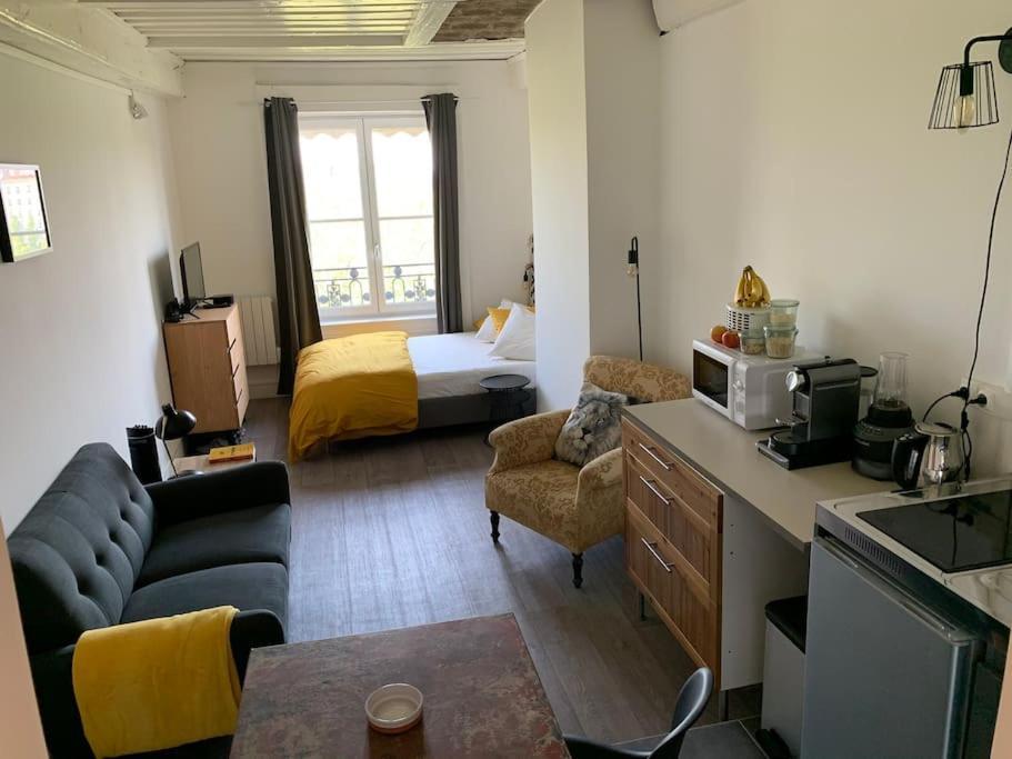 Chez Alam A L'Opera De Lyon Apartment Екстериор снимка